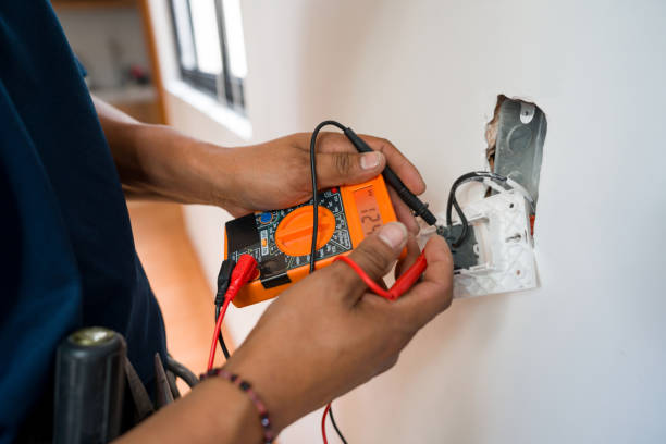 Best Electric Panel Repair  in Arbury Hls, IL